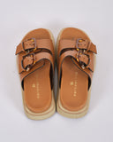 شباشب نسائية من بيرسبكتيف 23190210