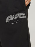 Jack&Jones Erkek Eşofman Altı 12257962