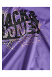 Jack&Jones Erkek T-Shirt 12252376