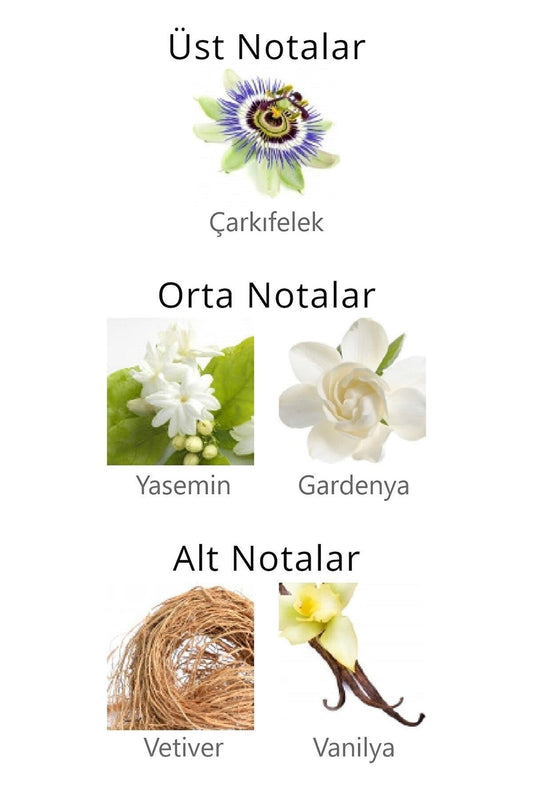 بخاخ الجسم أكوا دي بولو للنساء، APCN003702