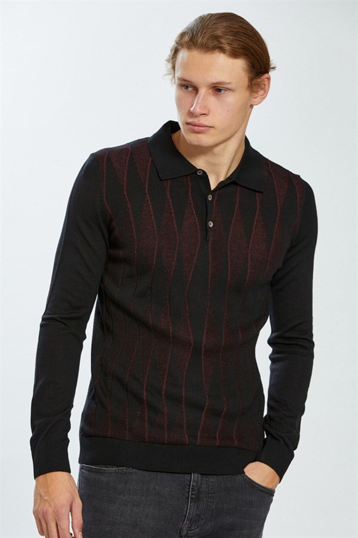 Ecer Erkek Uzun Kol Polo Yaka Minimalist Kazak - Günlük Stil İkincil görsel