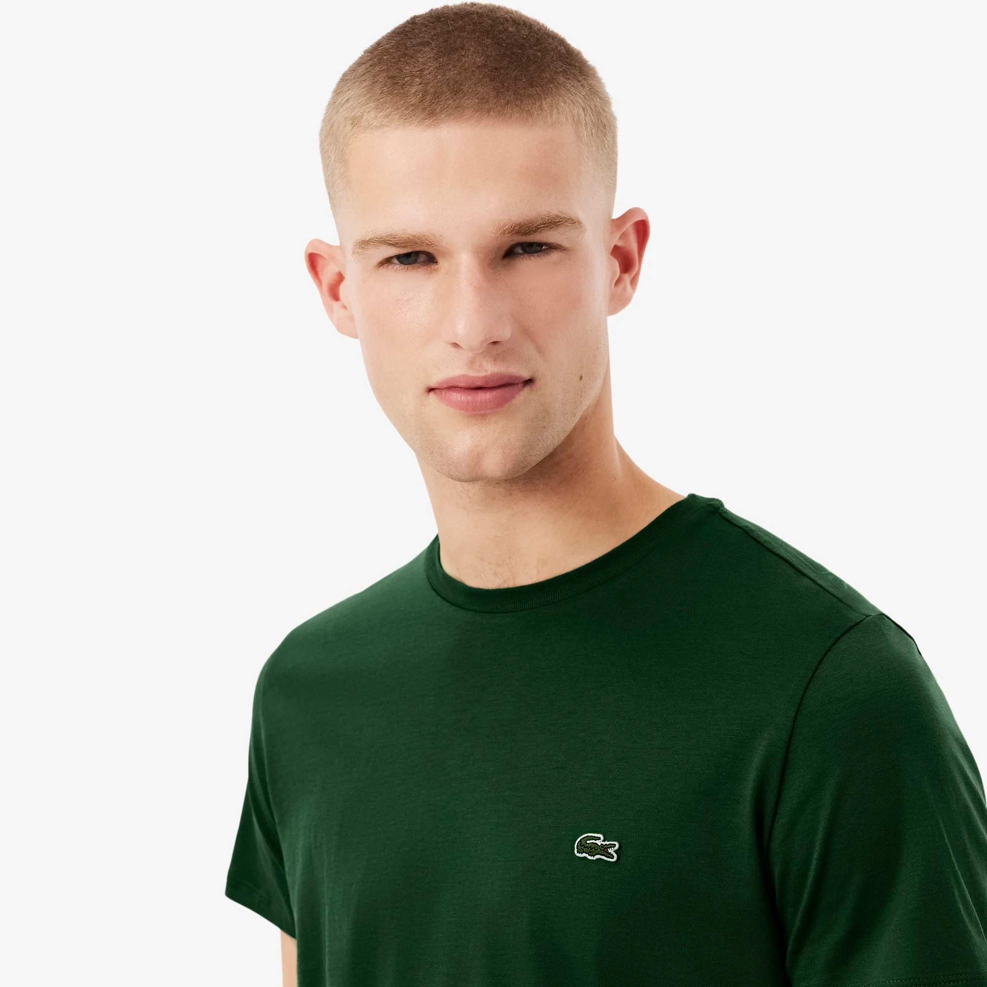 Erkek Regular Fit Bisiklet Yaka T-shirt LACOSTE İkincil görsel