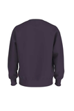 Levis Erkek Sweatshirt 38712-0290