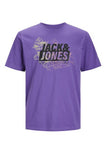 Jack&Jones Erkek T-Shirt 12252376