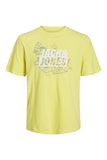 Jack&Jones Erkek T-Shirt 12252376