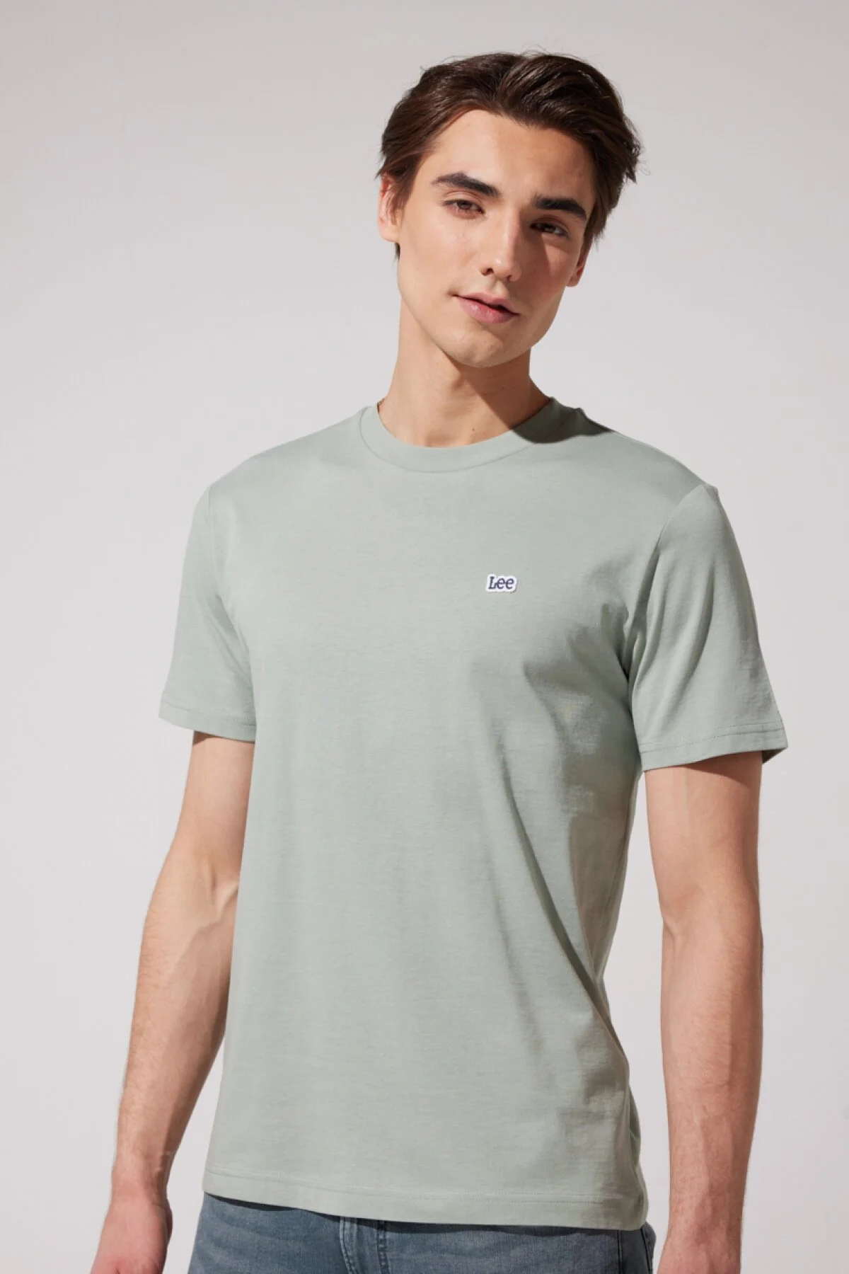 Lee Minimalist Erkek T-Shirt - Regular Fit - Kısa Kol - Günlük İkincil görsel