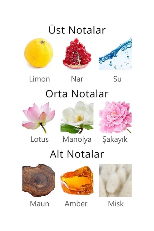 بخاخ الجسم النسائي أكوا دي بولو APCN003703