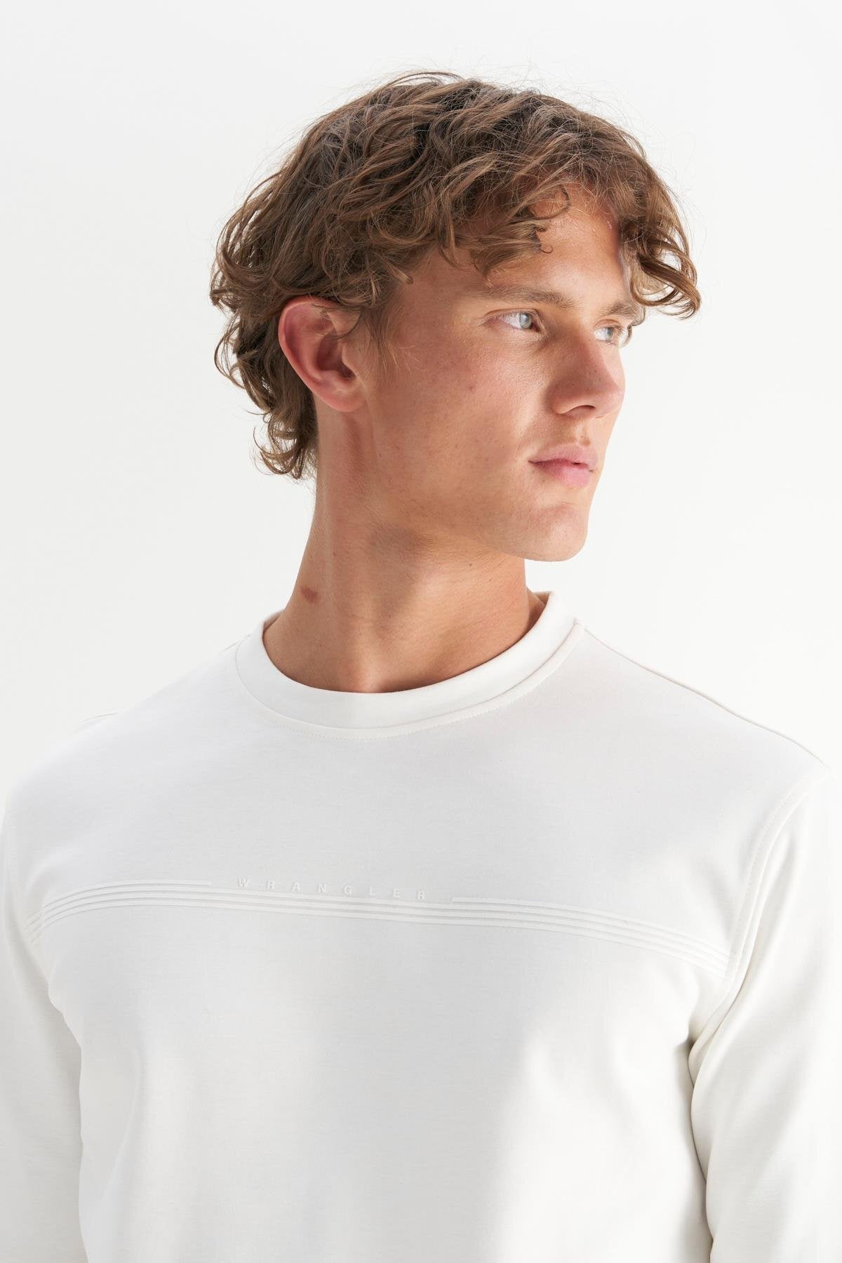 Wrangler Erkek Regular Fit Sweatshirt Sweatshirt W2520534100