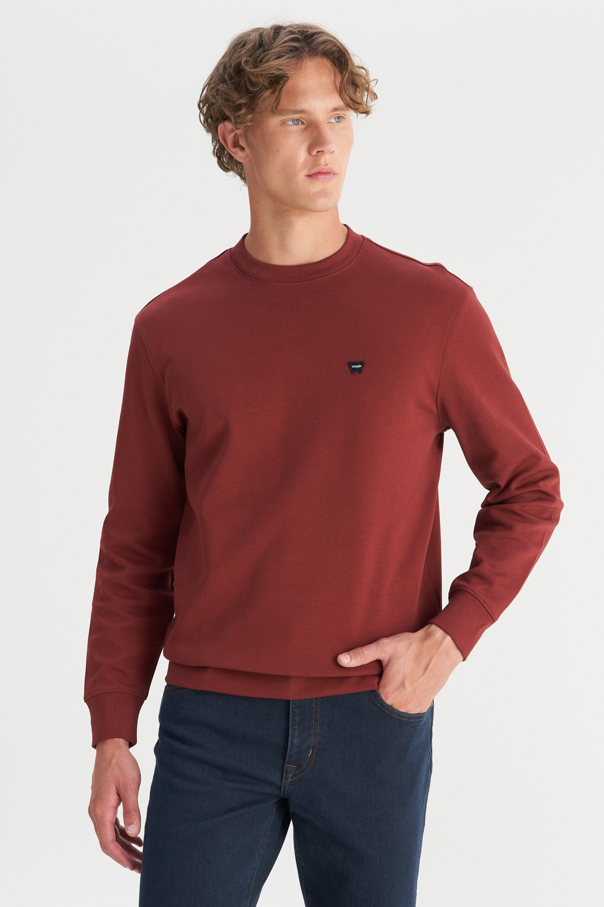 Wrangler Erkek Regular Fit Normal Kesim Bisiklet Yaka Logo Detaylı Sweatshirt Translation missing: ar.content.product_image_main